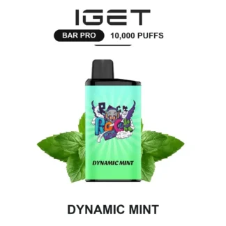 Dynamic Mint IGET Bar Pro 10,000 Puffs