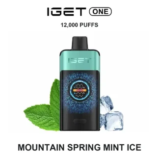 Mountain Spring Mint Ice — Iget ONE