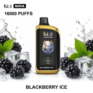 Blackberry Ice KUZ Nova 16,000 Puffs