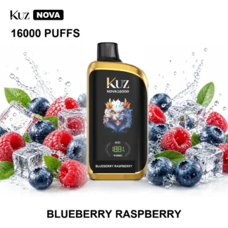 Blueberry Raspberry KUZ Nova 16,000 Puffs